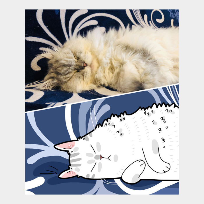 Lingvistov Custom Cat Illustration 
