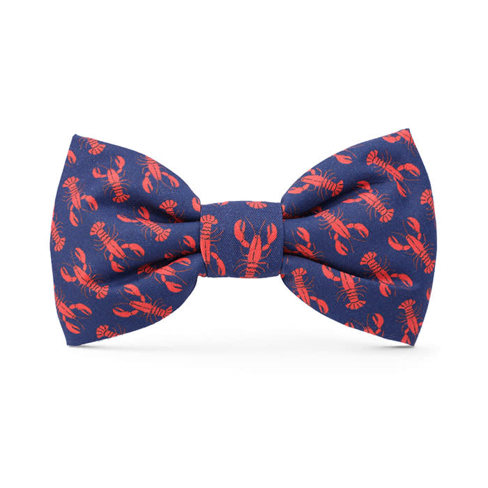 Catch of the Day Dog Bow Tie
