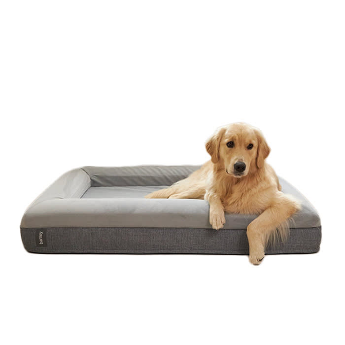 Barney bed