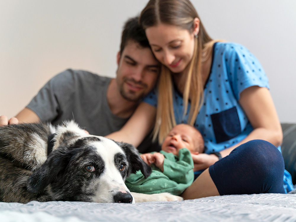 Couple with their new baby and dog at home.