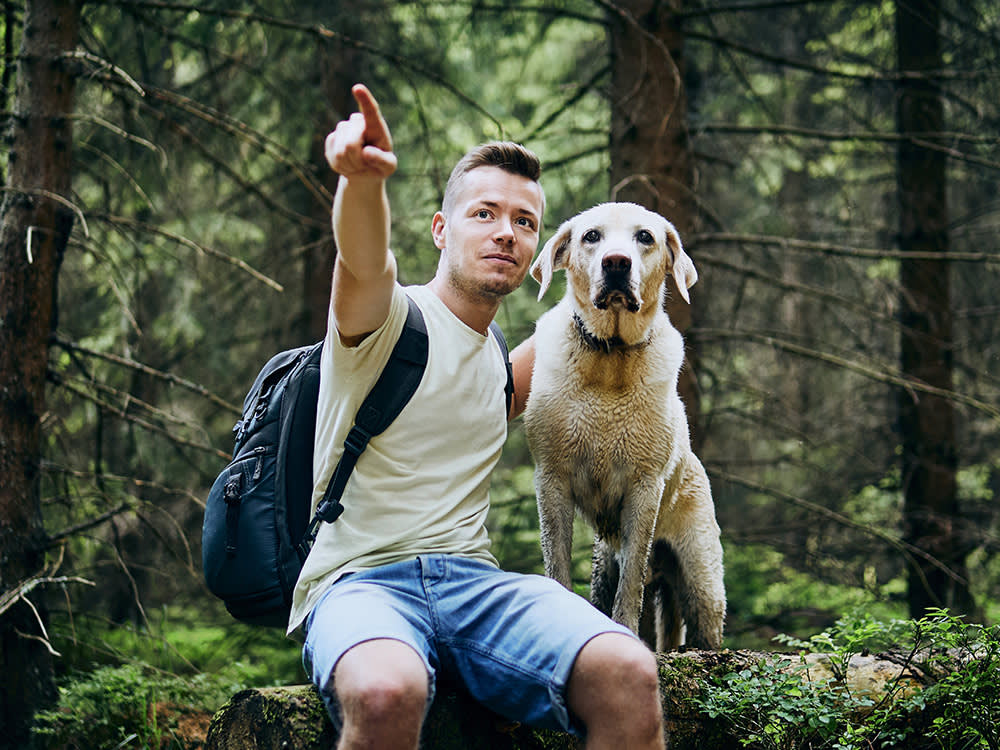 dog looking where man is pointing