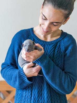 Woman holding small gray puppy in her arms.