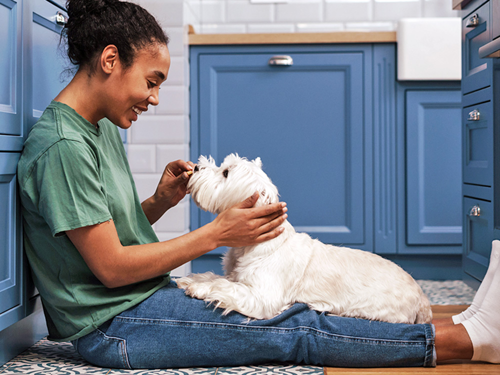 Qu’est-ce que le phénomène « Boy Dog Mom » et est-il réel ? · Parenté