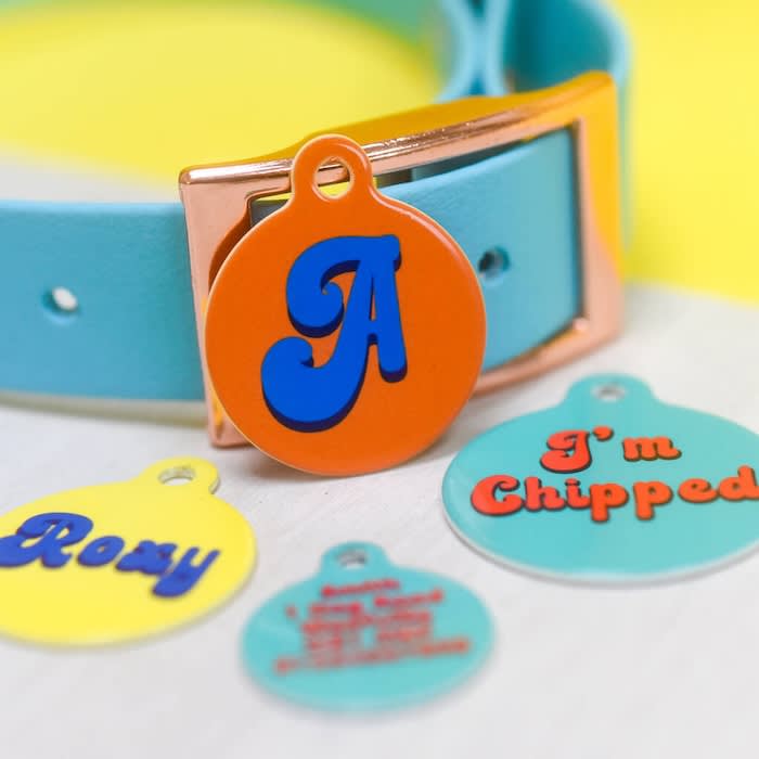 Four id tags and a collar