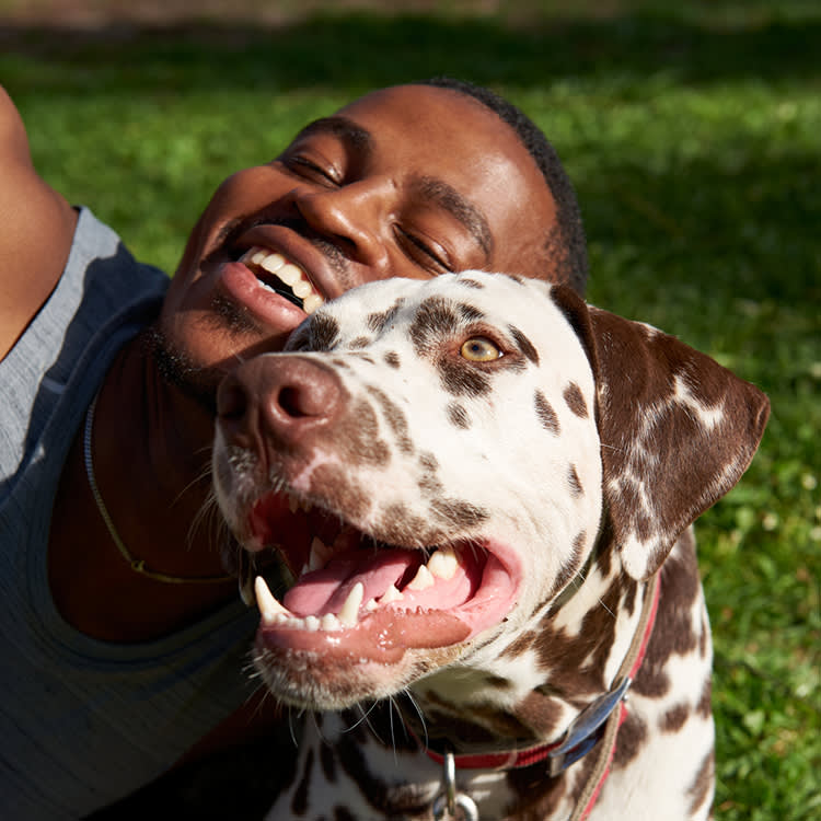 A smiling man with short black hair sitting on the grass outside leaning on his Dalmatian dog who is also smiling showing clean teeth