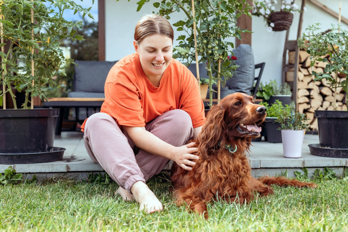 Dog in yard with person