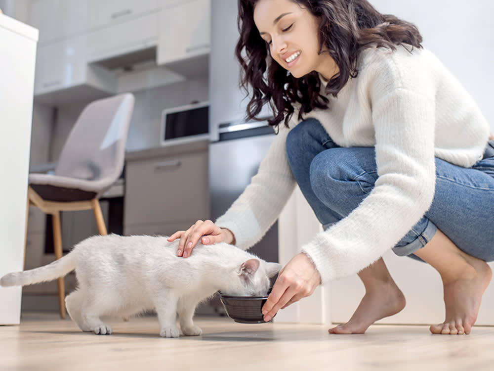 Woman feeding her kitten from a bowl at home.
