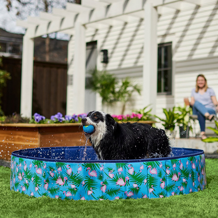 Frisco Outdoor Dog Swimming Pool