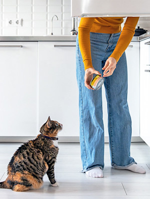 Woman feeding her cat tuna from the fridge.