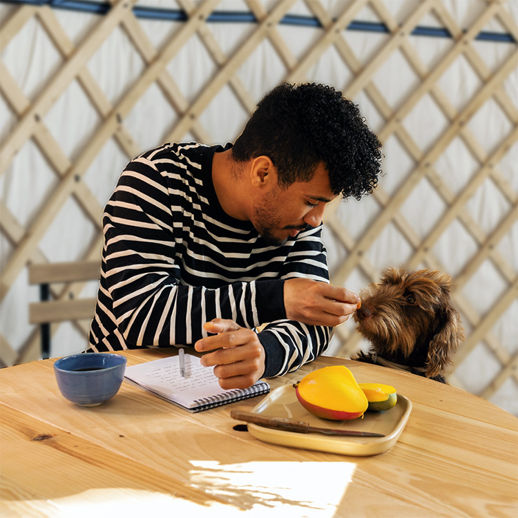 Man feeds his small brown dog Mango fruit.