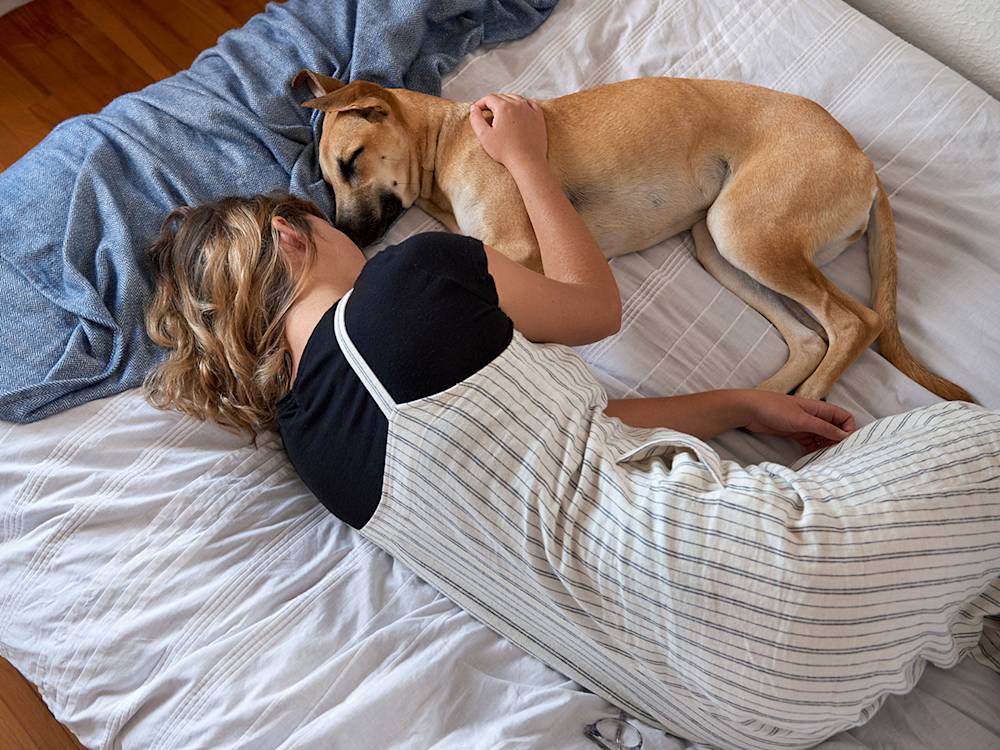puppy snuggling in bed with person