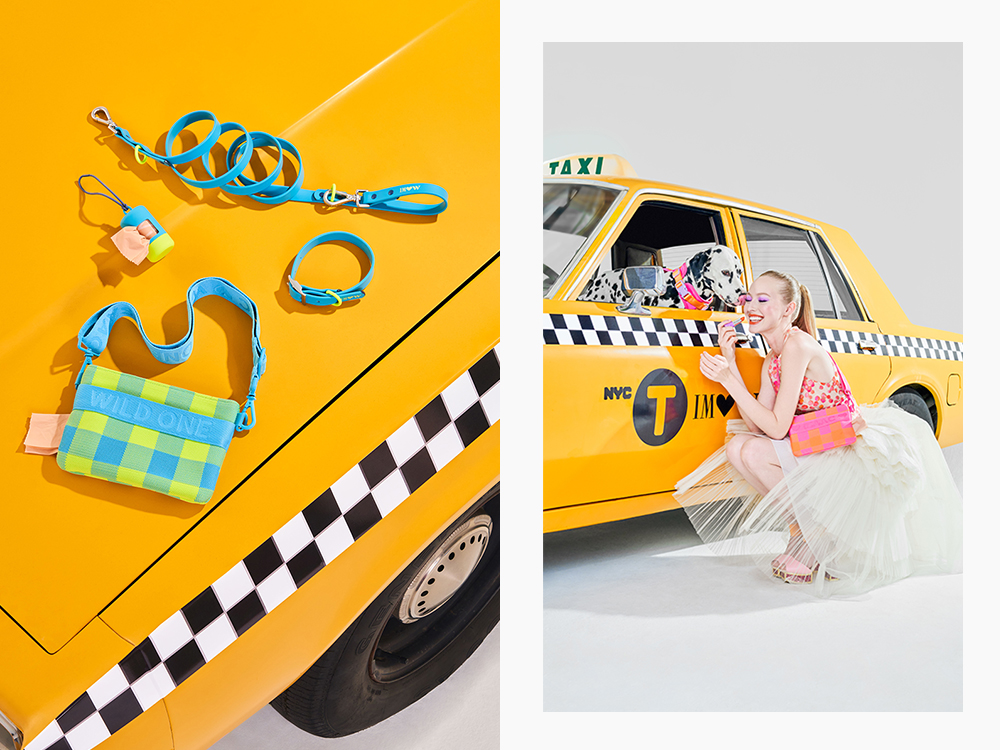 dogs in an NYC yellow cab