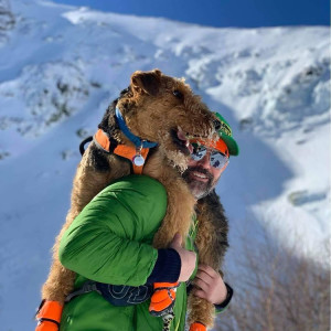 Dog in an Emergency Rescue Harness