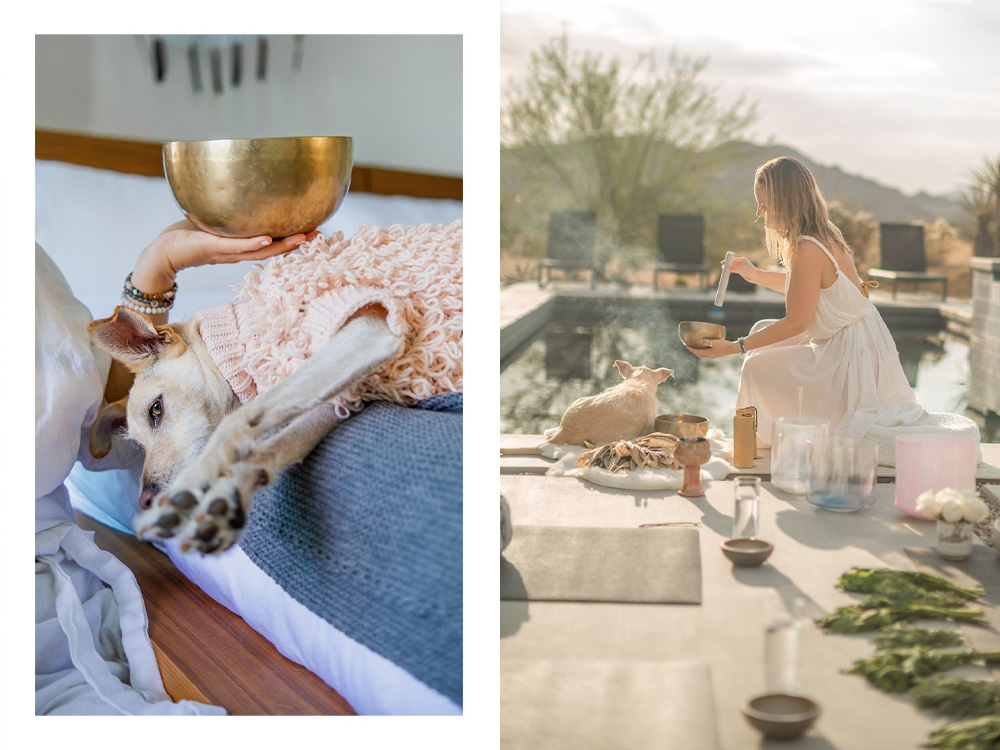 Dog enjoying a sound bath; dog lying by someone performing a sound bath