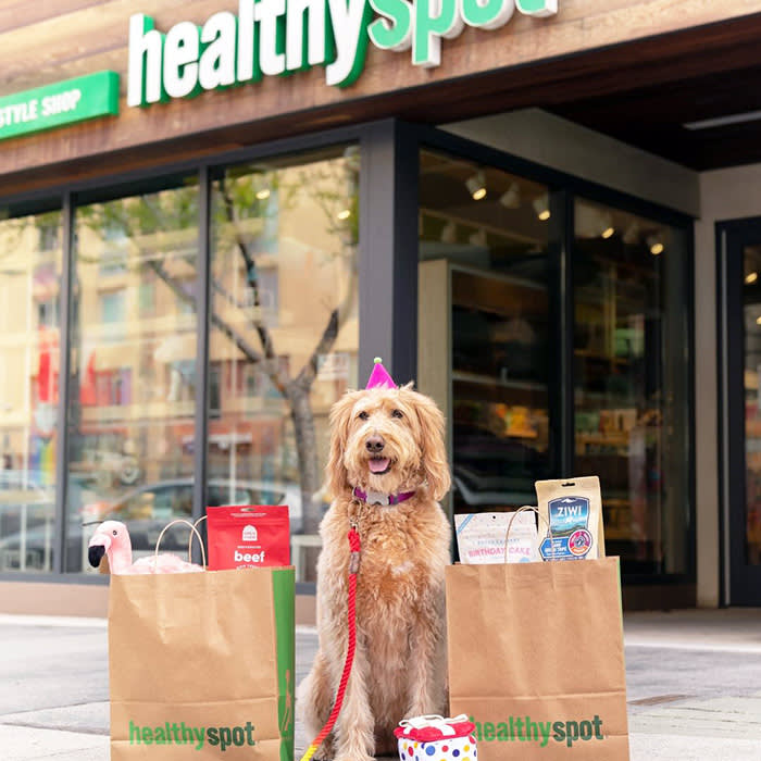 a dog poses in a birthday hat in front of a Healthy Spot location 