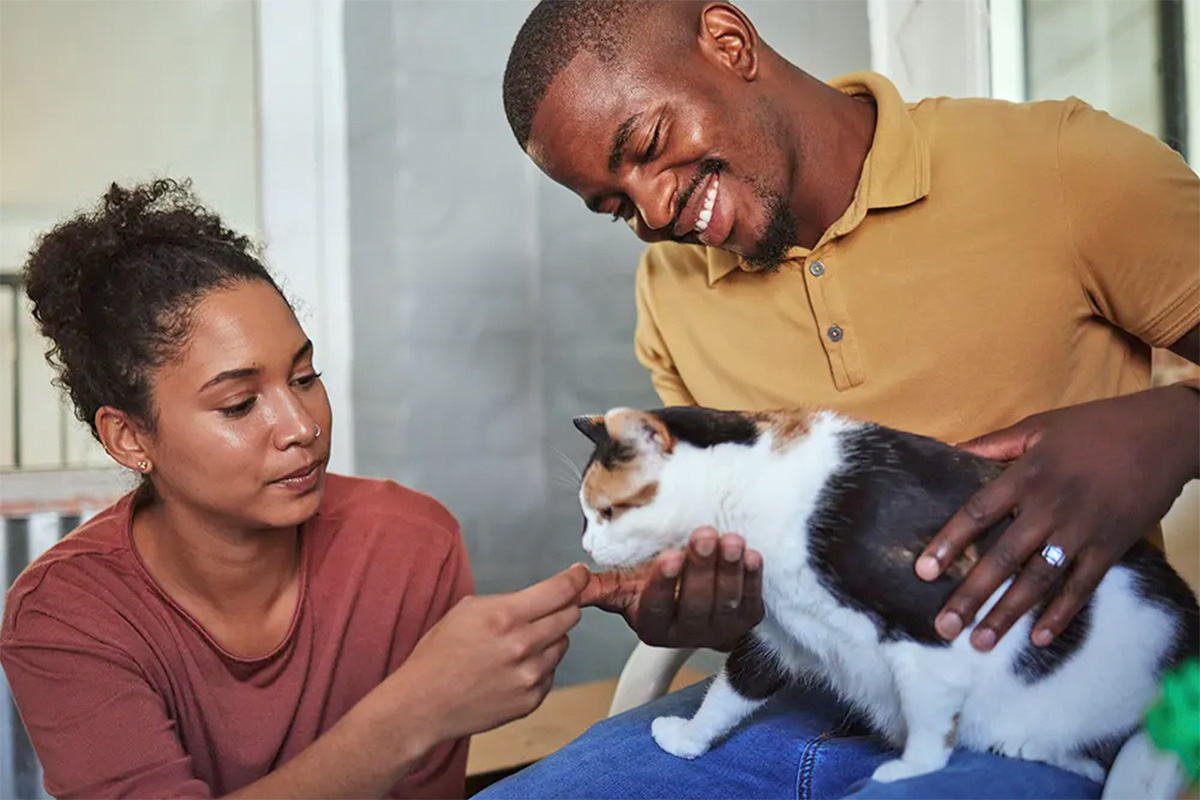 two pet parents dote on their cat