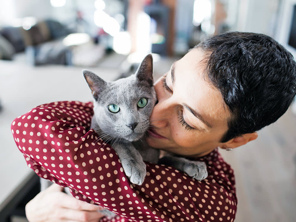 person hugging a Russian blue cat