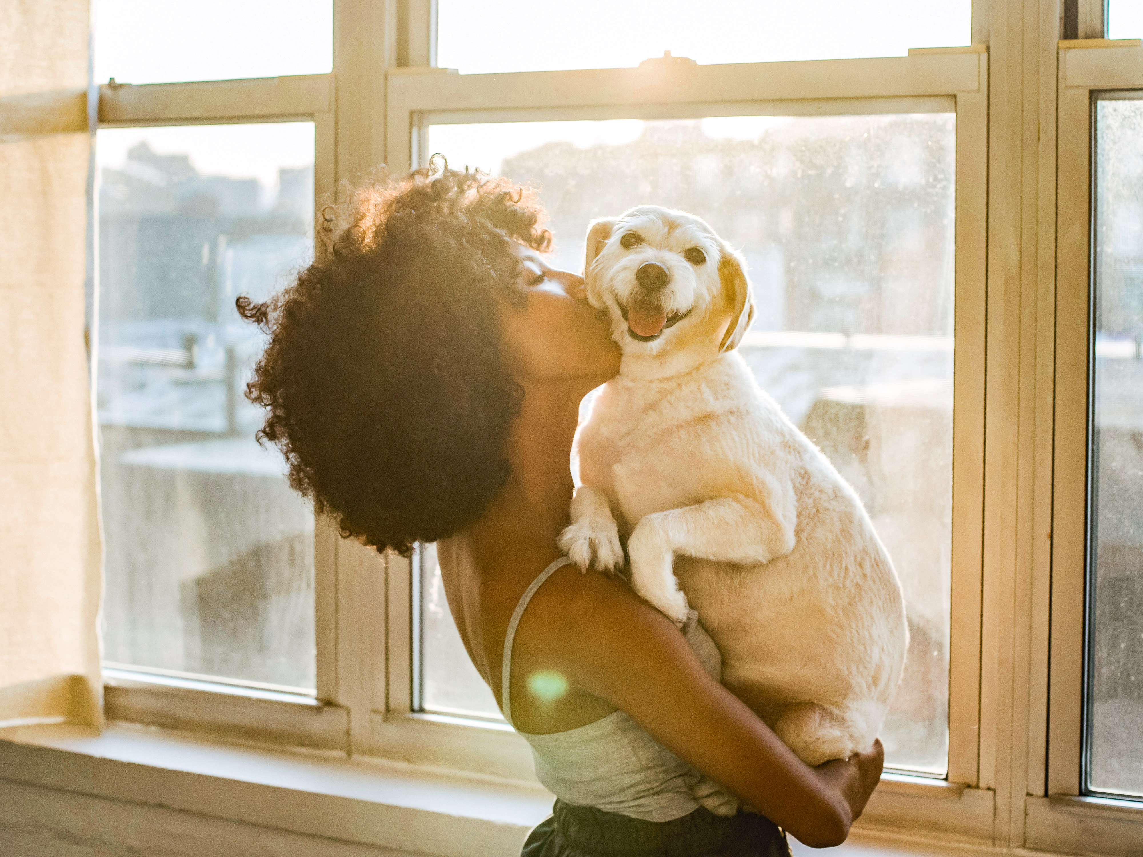 Woman holding her dog beside a window in bright morning light