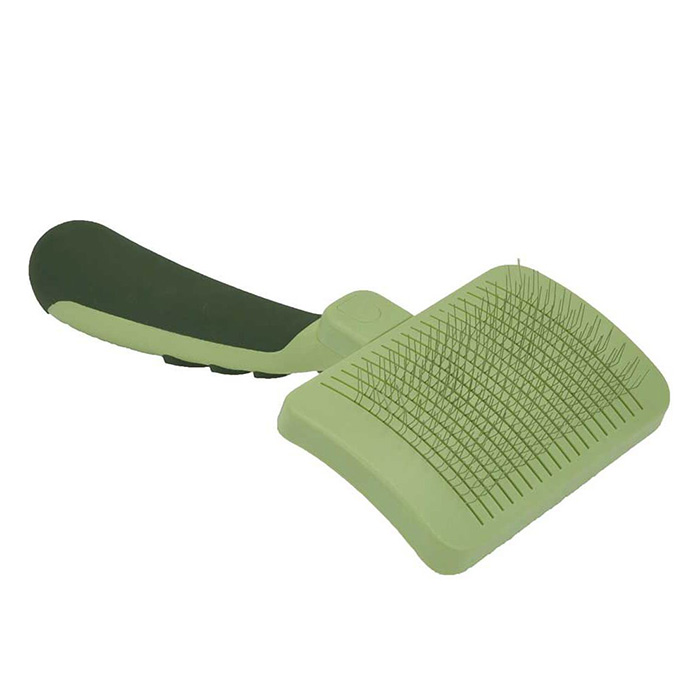 Best cat outlet brush