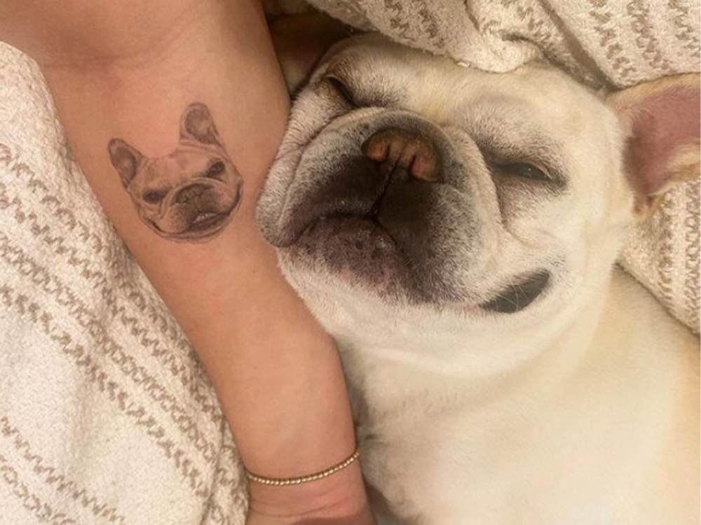 Dog  Flowers in Triangle by TattooGrain  Tatuagem casal Tatuagem de  poodle Boas ideias para tatuagem