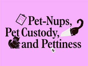 Pet nups, pet custody, and pettiness