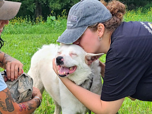 Spirit Animal Sanctuary