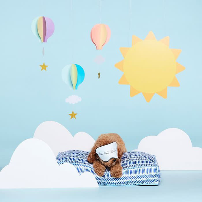 a dog with a blue eye mask rests on a blue-and-white patterned dog bed. An illustrated sun, stars, clouds, and hot air balloons hang over the image.