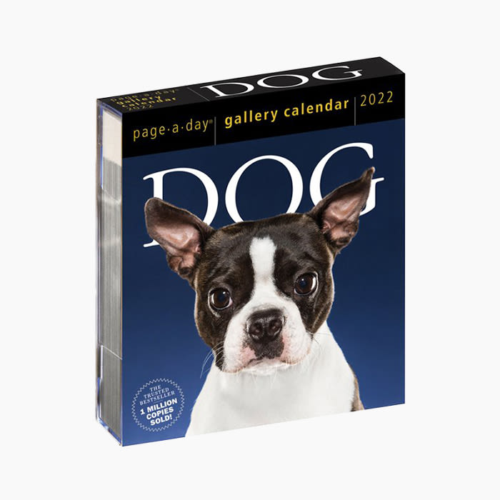 Dog Page-A-Day Gallery Calendar 2022