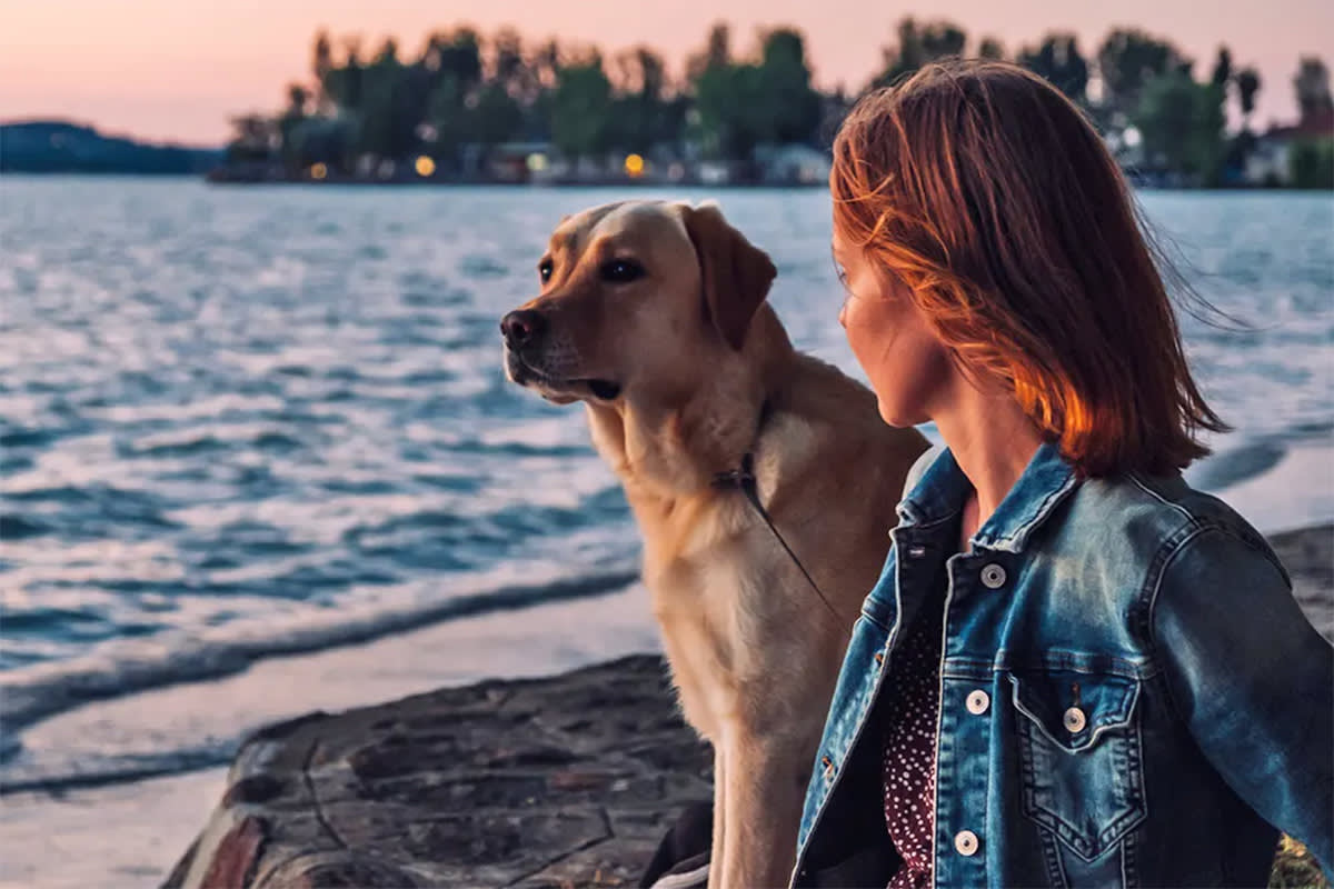 dog with woman at sunset