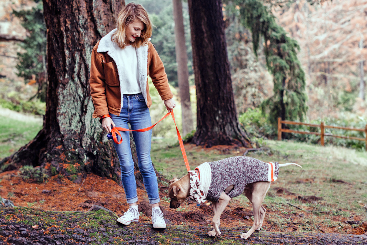 a woman walking her dog in the woods
