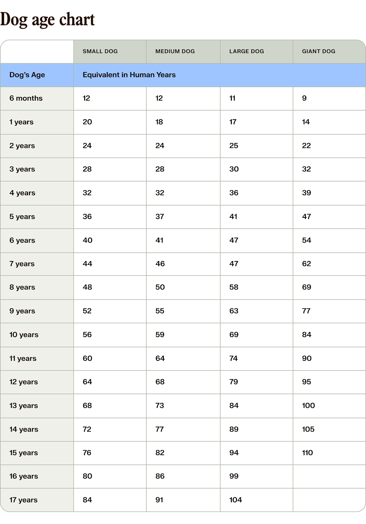 dog age chart