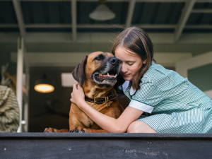 Young girl hugging an older dog on porch 