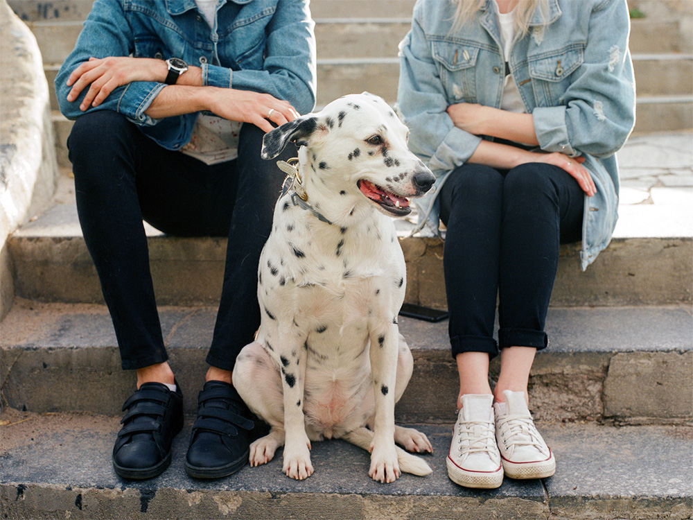 Man and woman arguing on staircase with dog in between them.
