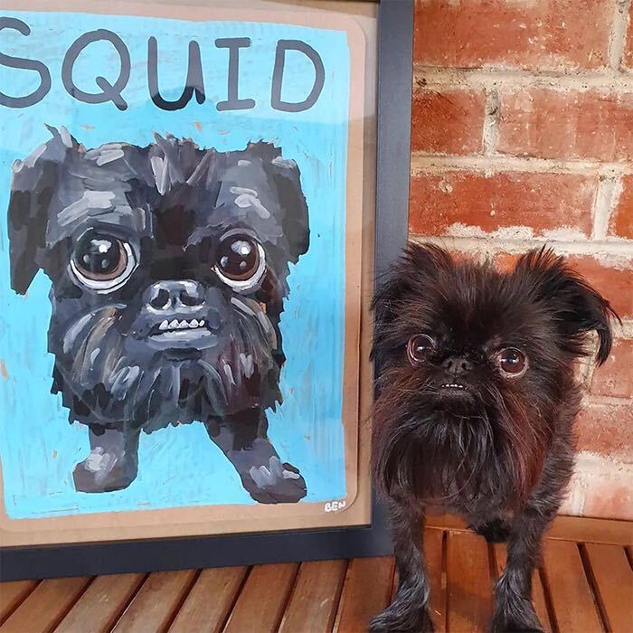 ben lenovitz holiday pet portrait