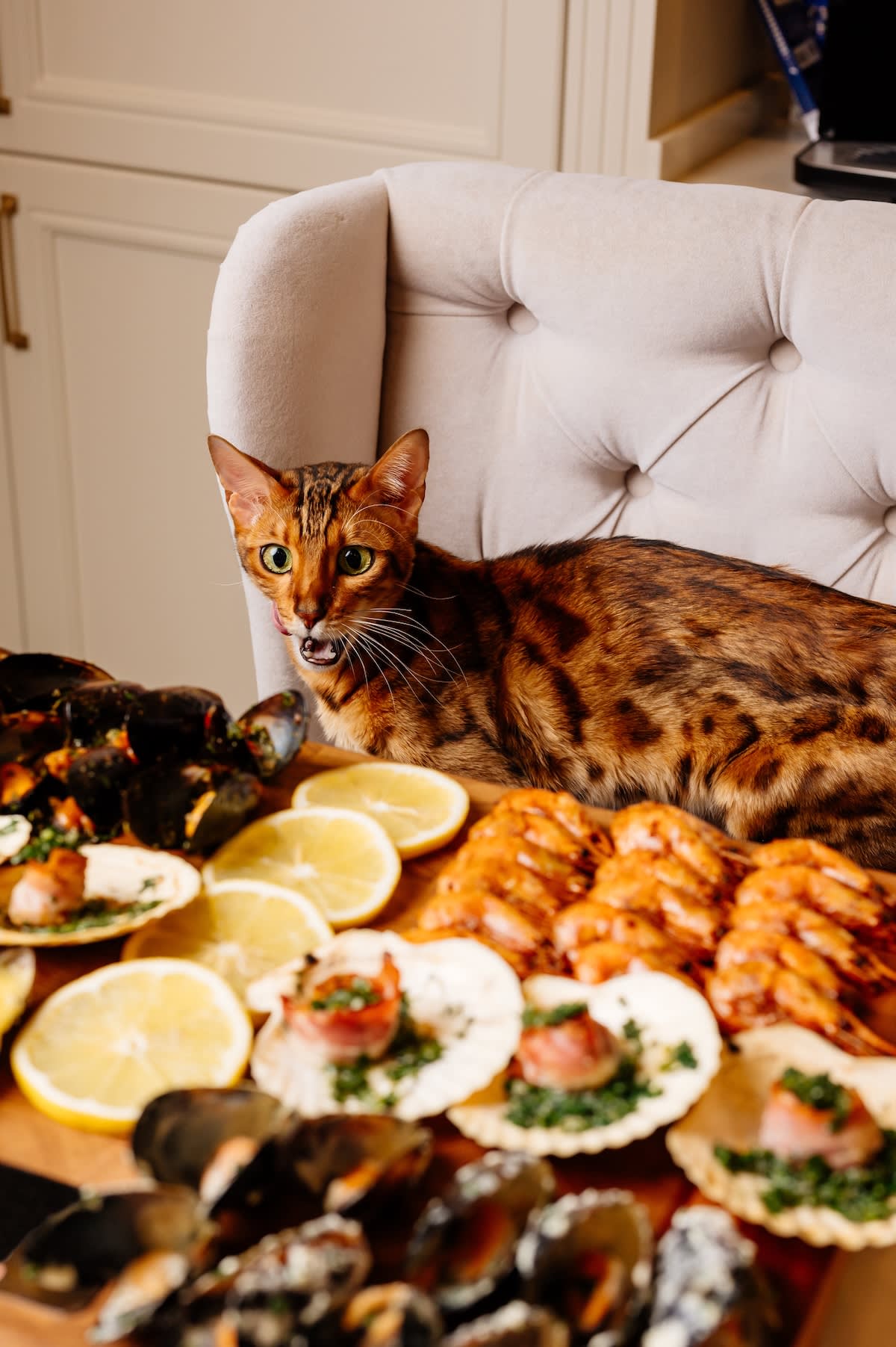 Variety of seafood on wooden cutting board on table in a cozy light home interior. Beautiful bengal cat sits on light gray armchair at table.