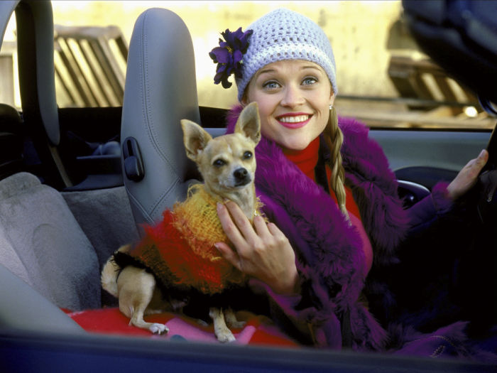 A movie still from Legally blonde of Elle Woods and her dog in a convertible. 