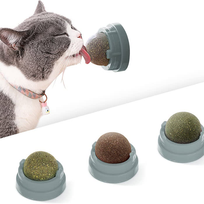 cat licking silvervine catnip treat