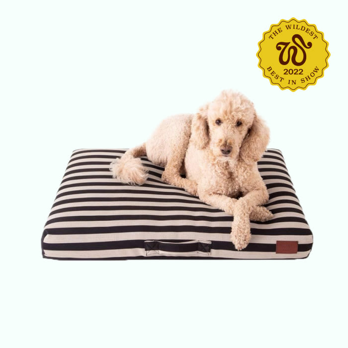 striped pet bed