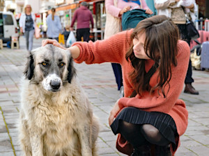 a woman with brown hair and an orange crouches down to stroke a large stray dog