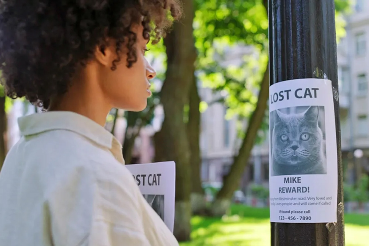 a woman looks at a "Lost Cat" sign on a pole