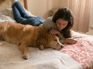 A woman laying on the bed with her Golden Retriever dog laying next to her