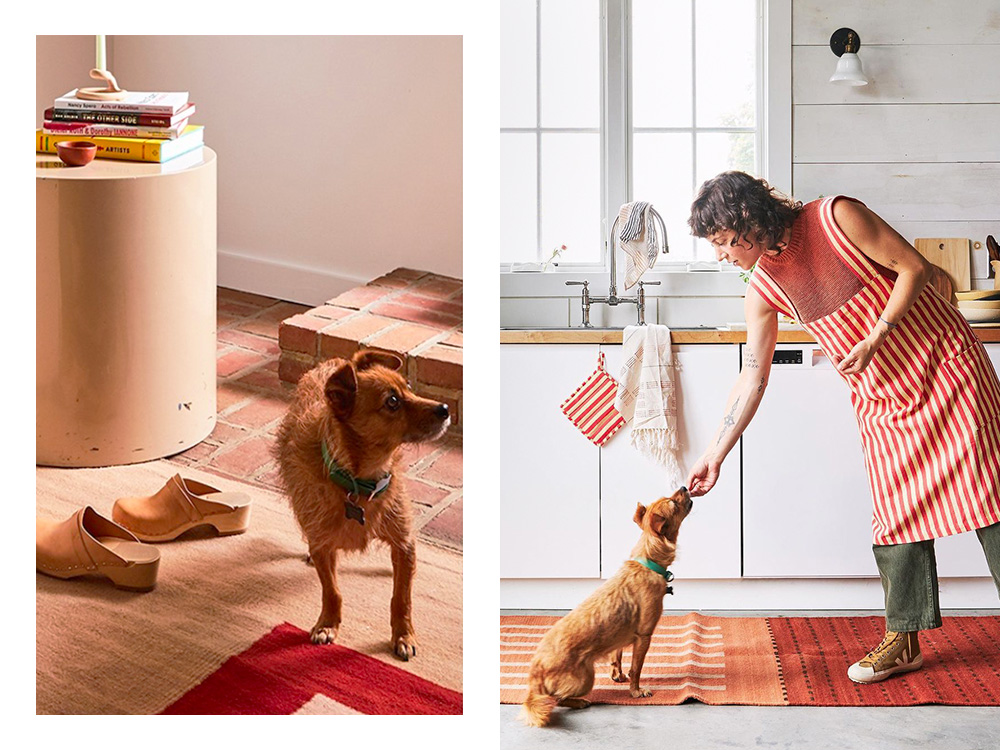 dogs and MINNA houseware