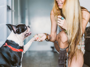 Woman training small dog.