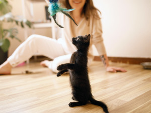Woman playing with a black kitten.