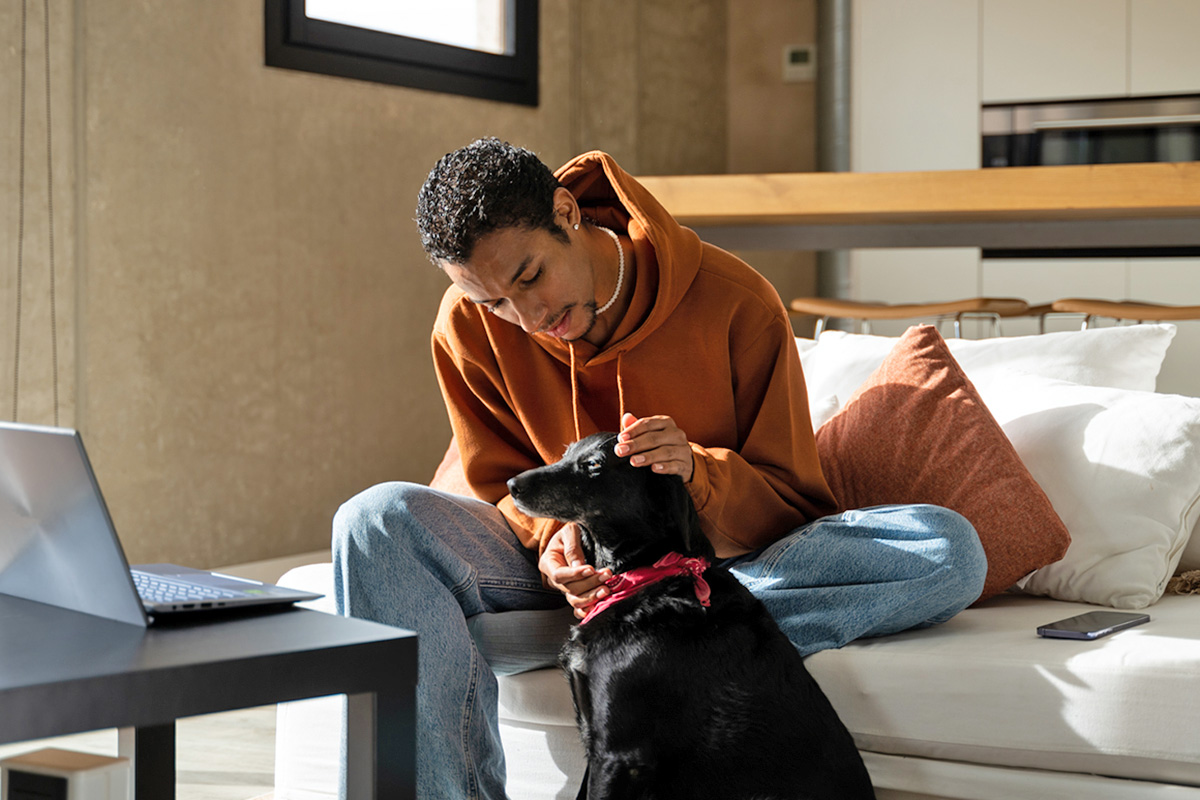 Person petting a black dog