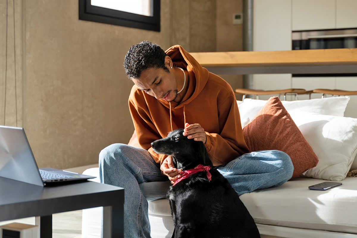 Person petting a black dog