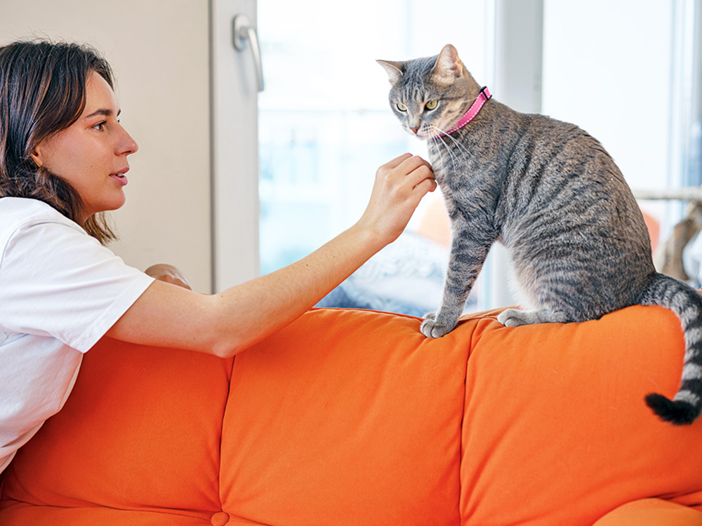 Woman trying to pet her cat at home.