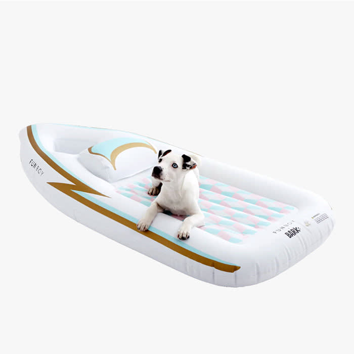 white and brown dog on a white funboy speedboat toy