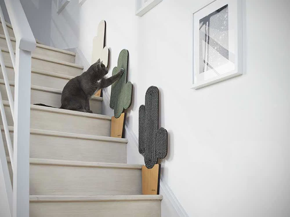 Grey cat sitting on on stairs scratching at the cactus shaped Meyou Paris Vegas Scratcher