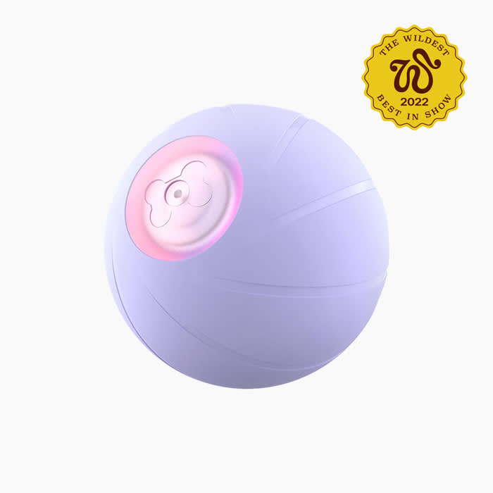 the cheerable dog toy ball in lavender